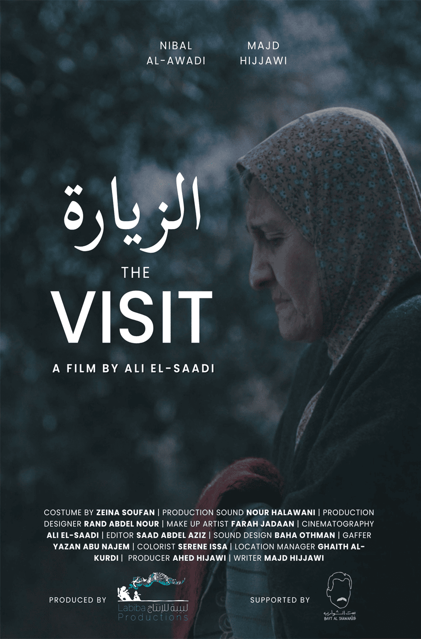 Poster - The Visit