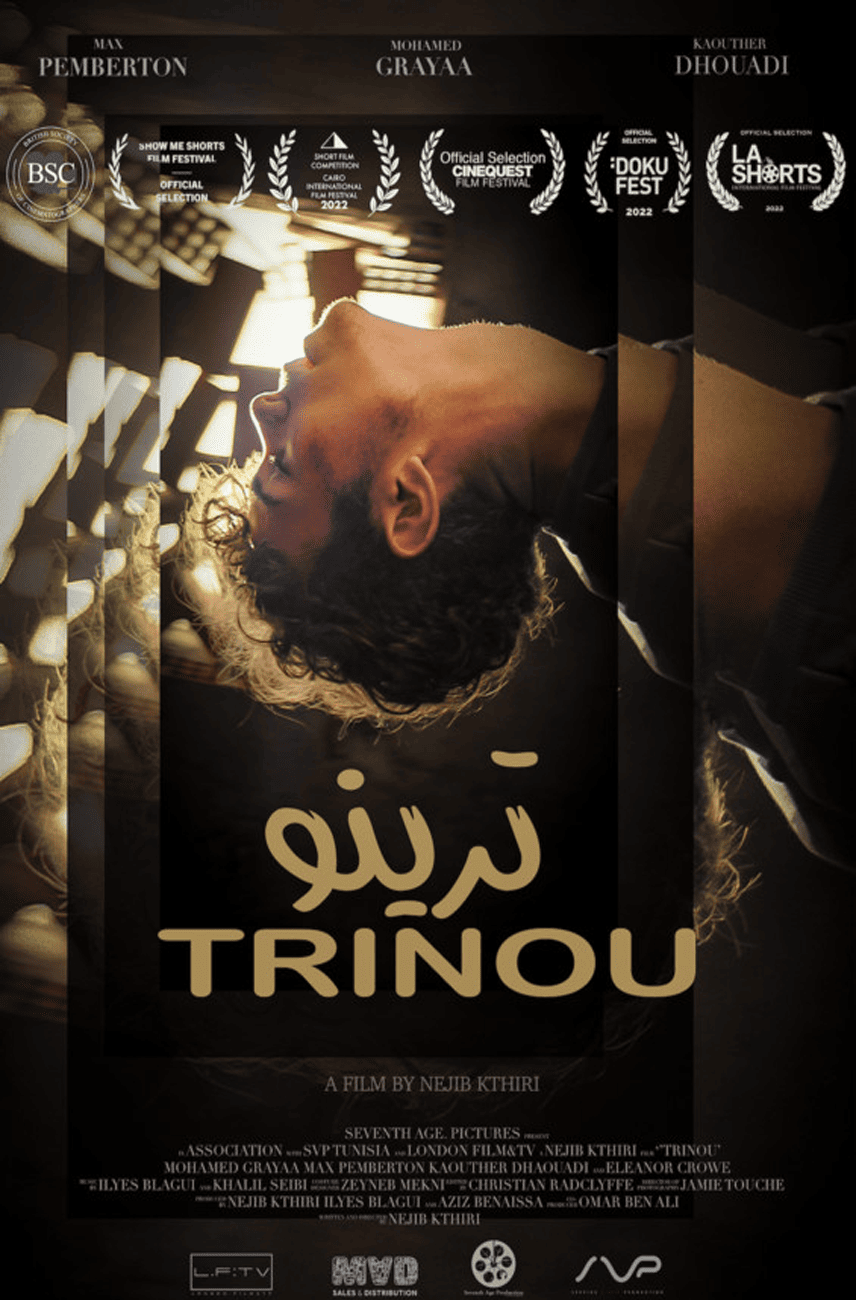 Trinou - Poster